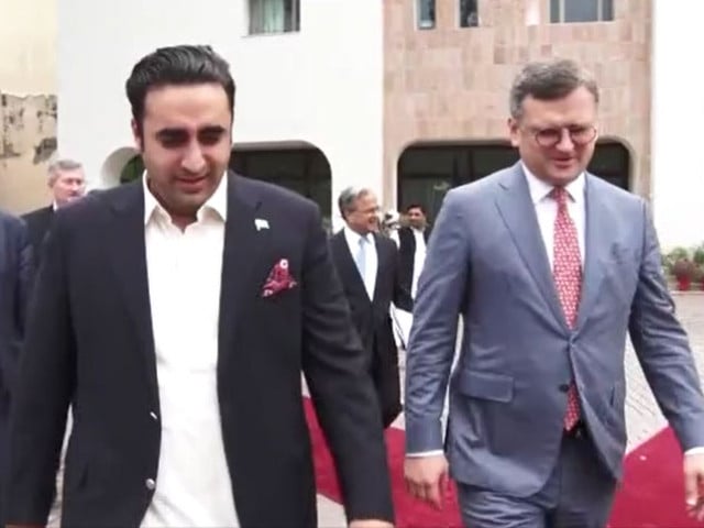 Pakistan and Ukraine FMs