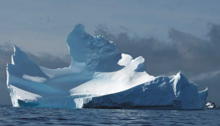 ice berg