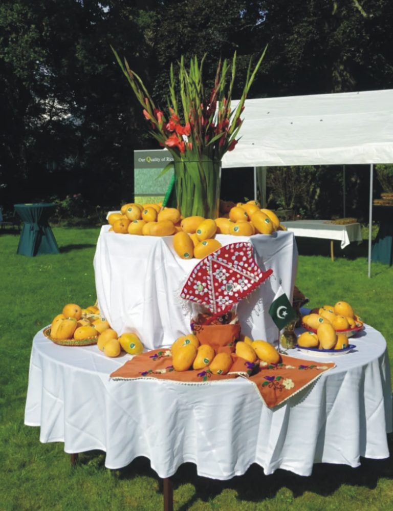 mango
