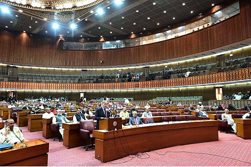 national assembly