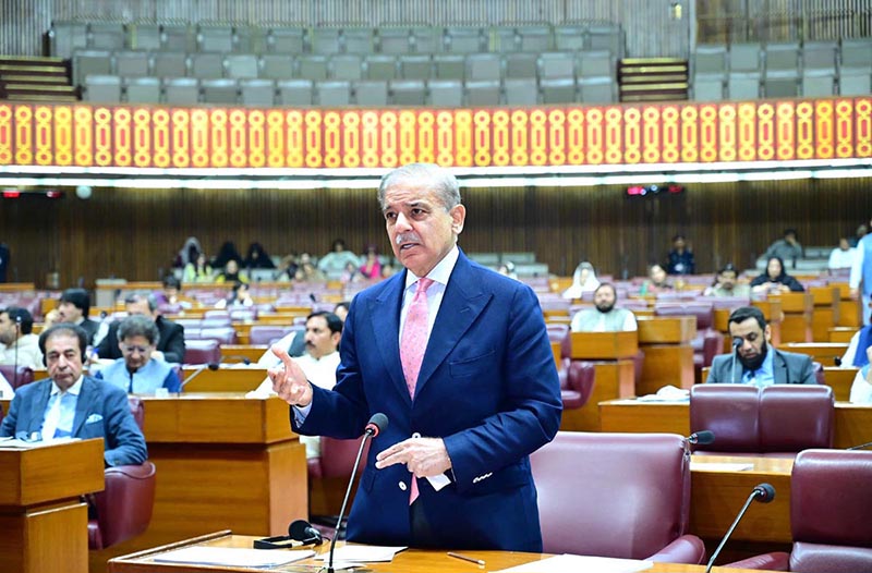 shehbaz