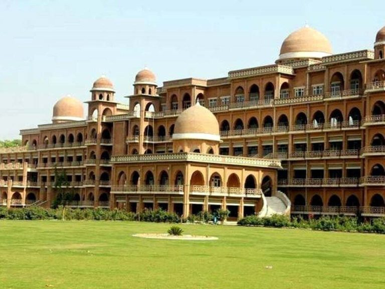 university