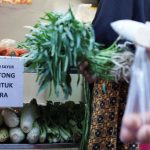 Iran war promises green edge for Asia as plastic packaging runs short